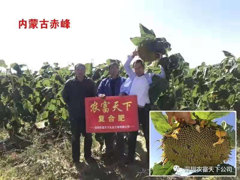 微信圖片_201910010947121